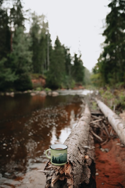 Garden Inspiration for Every Season